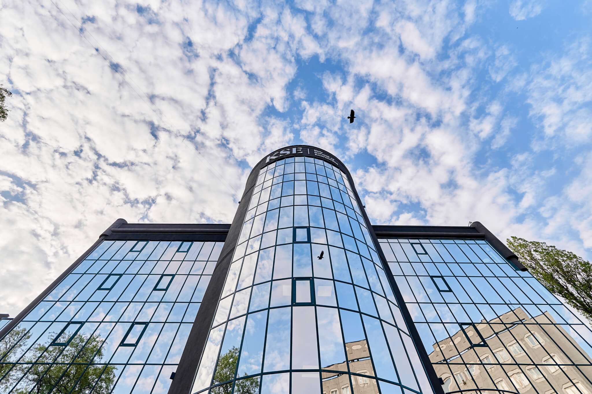 Дослідження Kyiv School of Economics